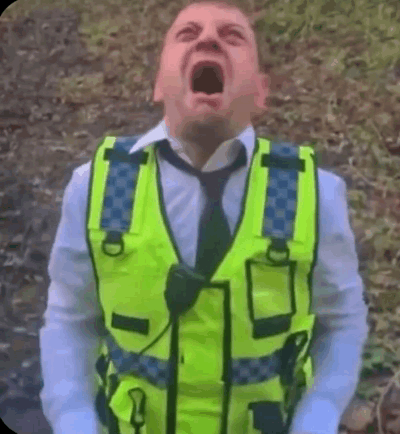 crashout meme meme image