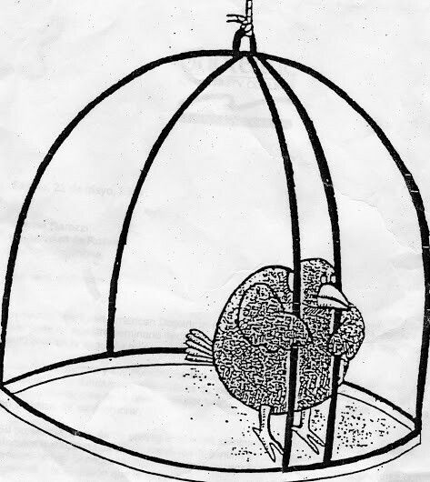 bird in cage meme meme image