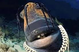 travis scott fish meme meme image