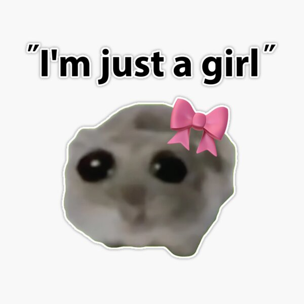 im just a girl meme meme image