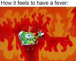fever meme meme image