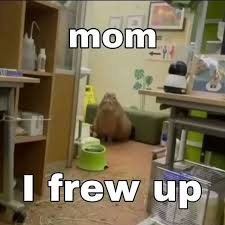 mom i frew up meme meme image