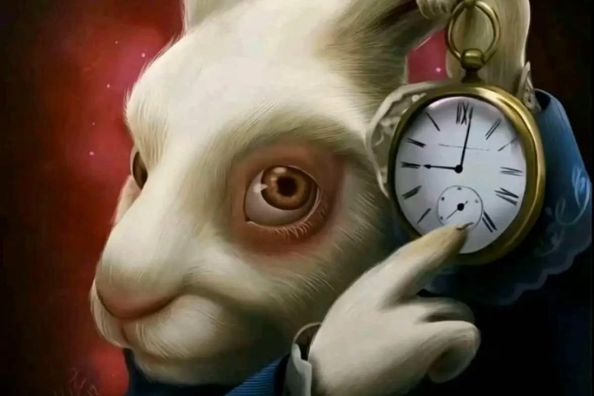 white rabbit meme meme image