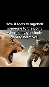 monkey and lion meme meme image