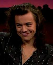 harry styles meme meme image