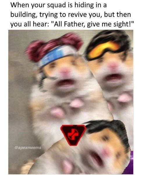 apex meme meme image