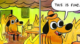 this is fine meme meme image