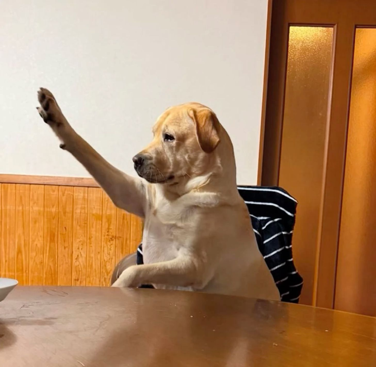 dog raising hand meme meme image