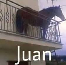 juan meme meme image