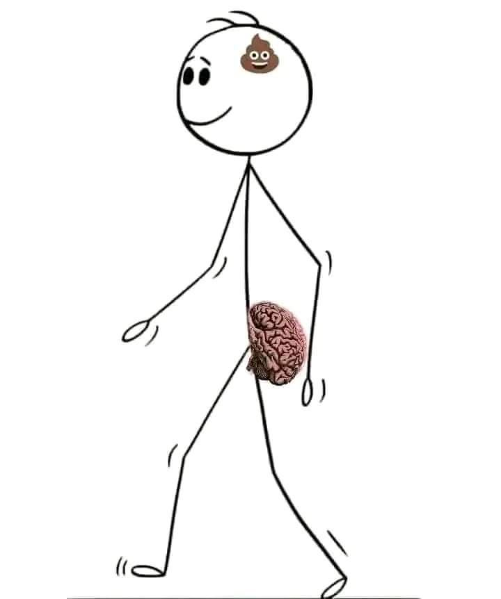 brain in butt meme meme image