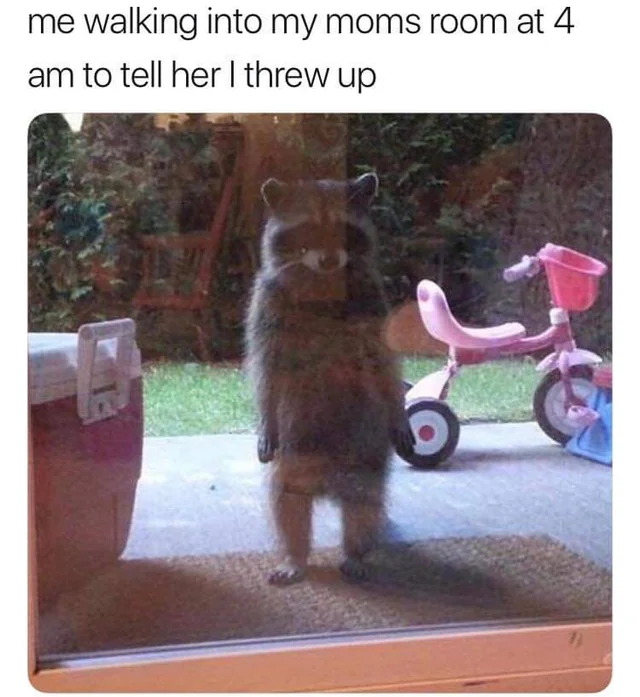 i frew up meme meme image