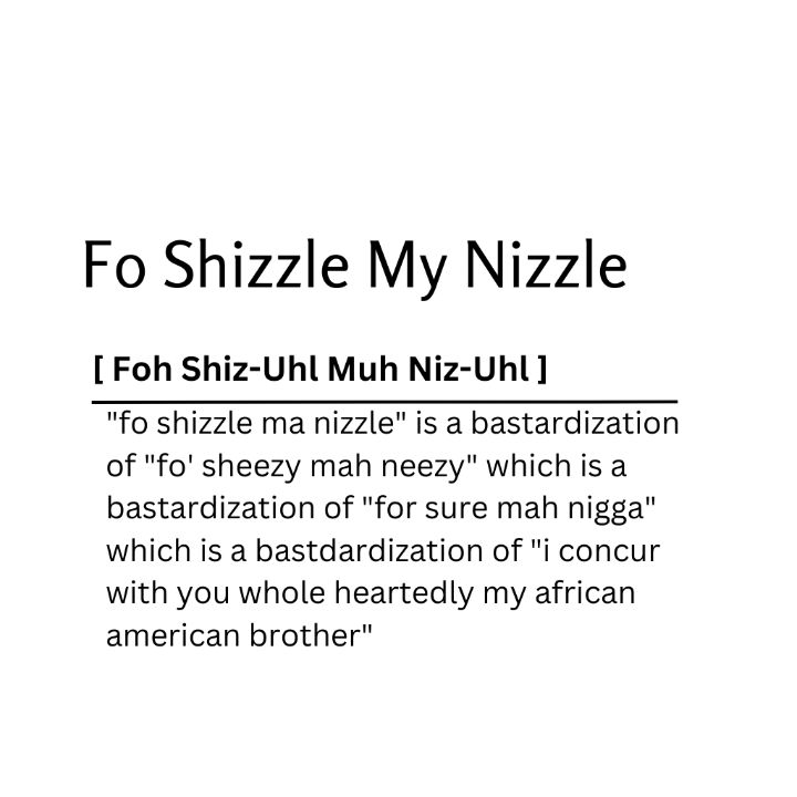 fo shizzle my nizzle meme meme image