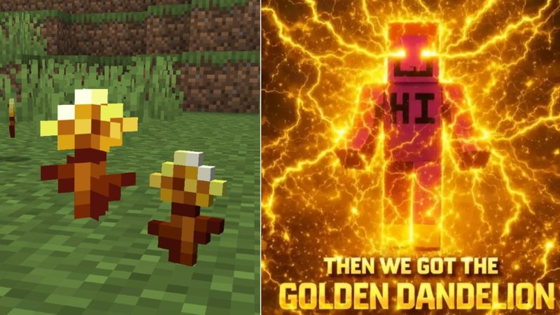 golden dandelion meme meme image