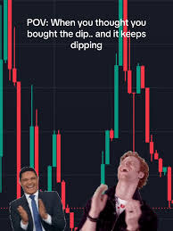 buy the dip meme meme image