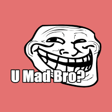 you mad bro meme meme image