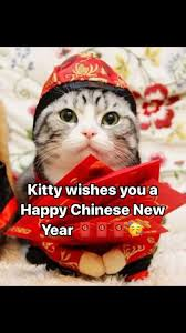 happy lunar new year meme meme image